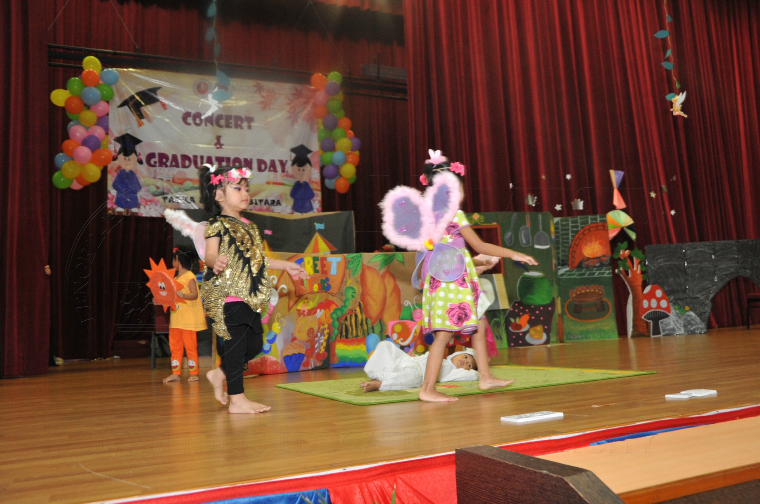 PRO15 163 KONVO HAS 0563